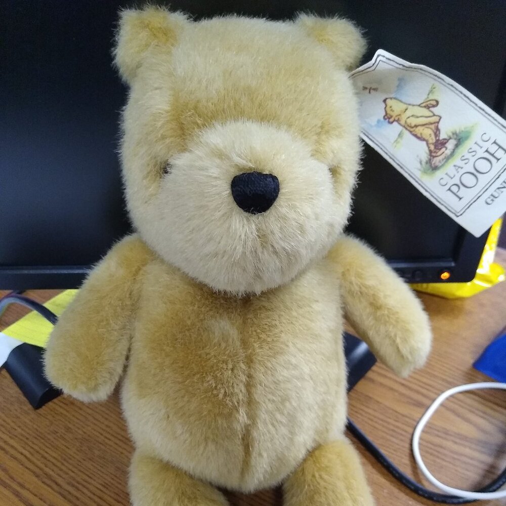 Classic pooh NWT